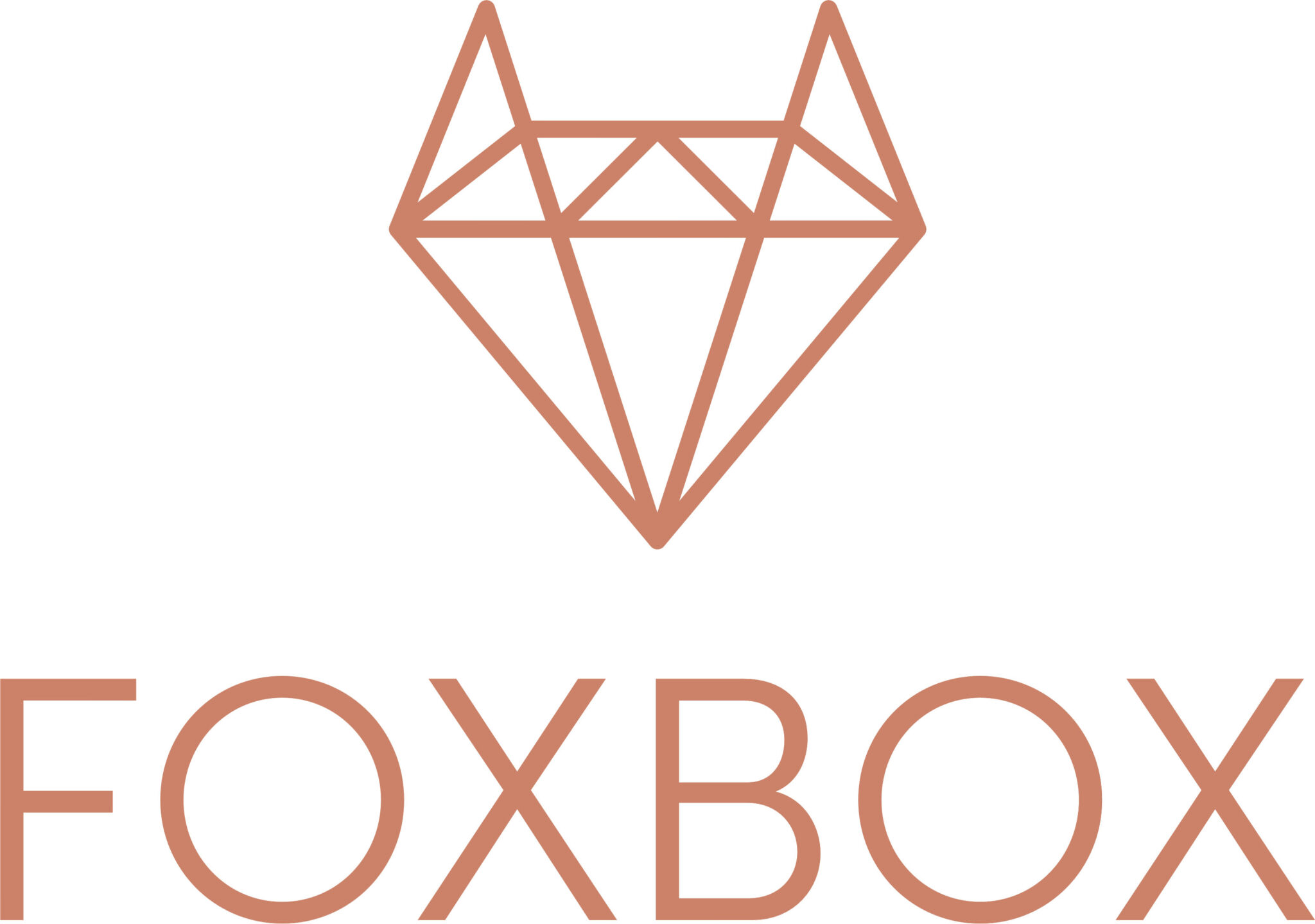 shop-foxbox